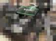 画像7: GT380用　B6ライン　薄ゴールド／オレンジ系