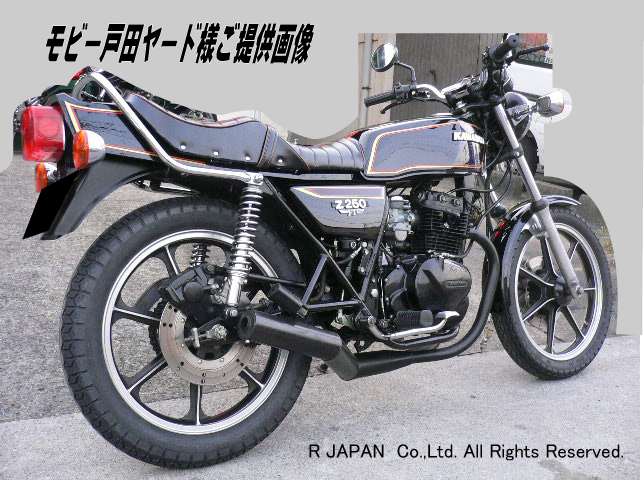 Z250FT ラインステッカーセット 新品 (ライムグリーン用)ステッカー